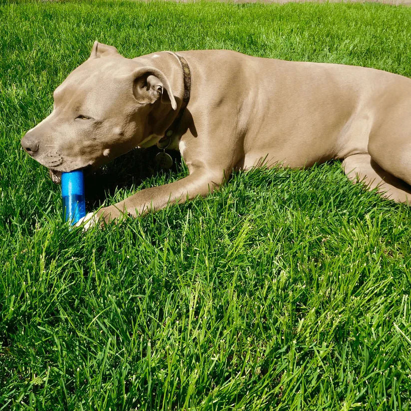 6" Replacement Rain Gauge Measurement Tube For World's Coolest Rain Gauge - Weathershack