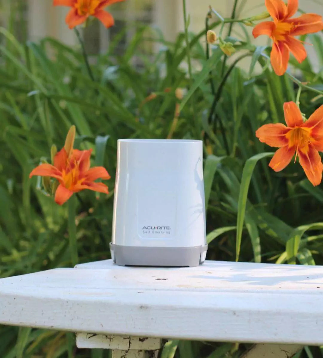Acurite wireless rain gauge sensor placed outdoors among blooming flower
