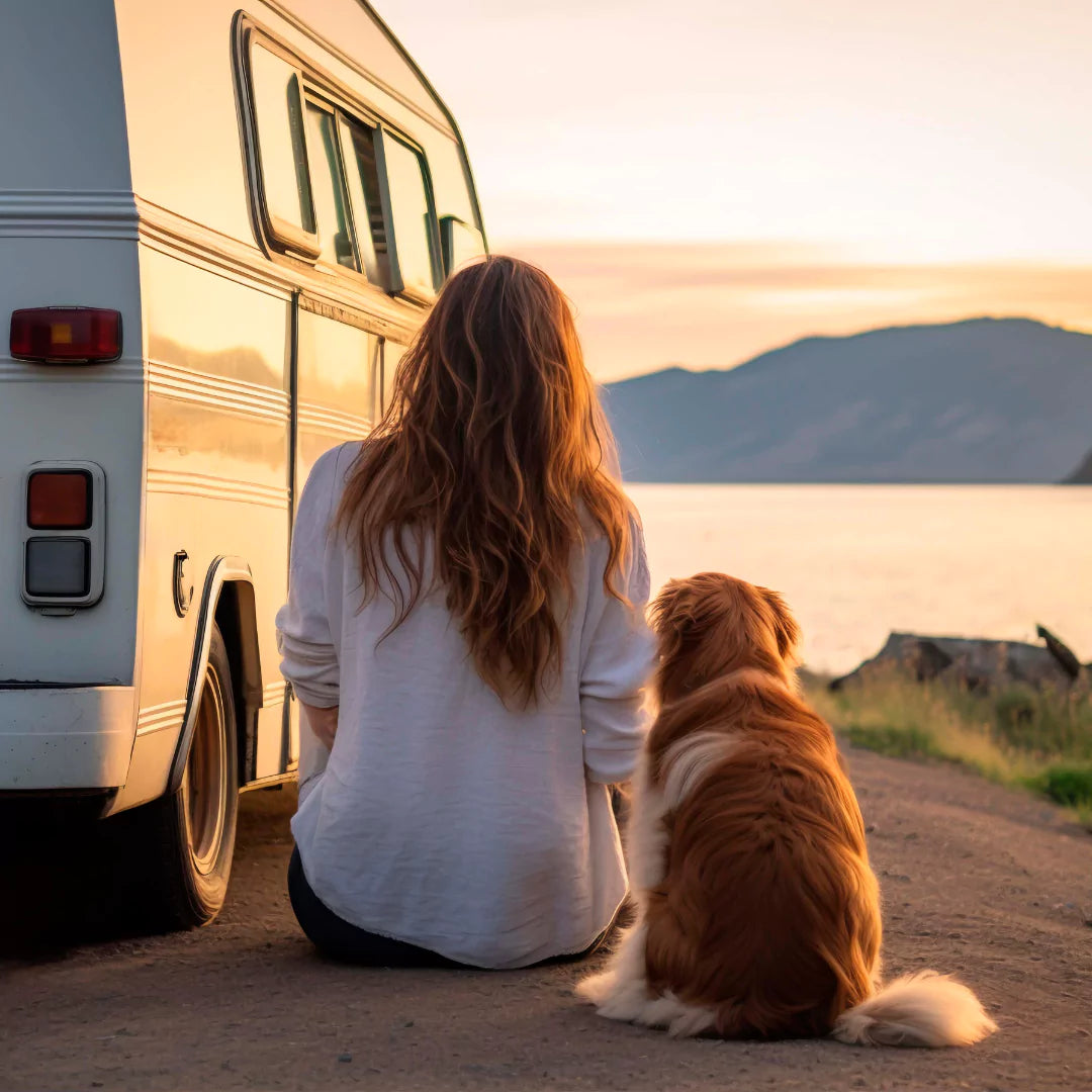Monitor RV interior temps during travel with Tempcube for pet and gear safety.