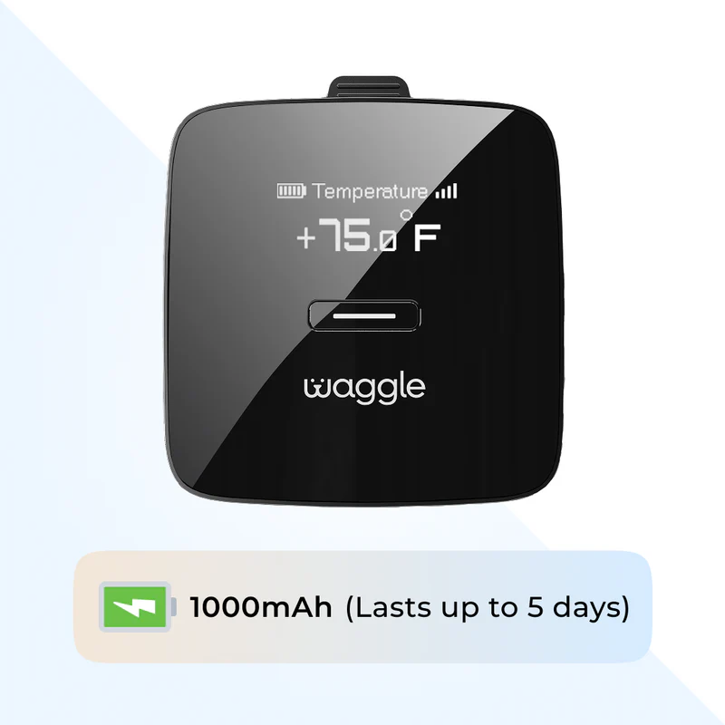 Waggle Pet Monitor - Weathershack