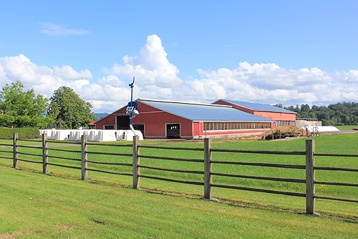 The Importance of Weather Stations in Agriculture : Maximizing Farm Productivity