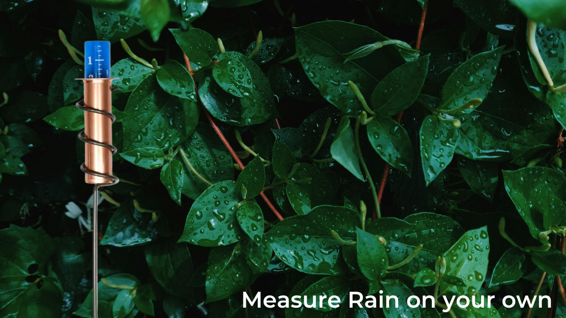 Rain measurement - A fun DIY guide