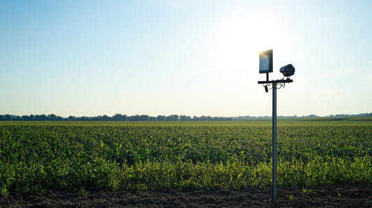 The Intersection of Meteorology and Agriculture: How precise weather data can improve agricultural practices and crop yields.