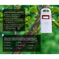 Acurite lightning detector placed on a tree branch