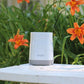 Acurite wireless rain gauge sensor placed outdoors among blooming flower