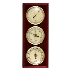 Ambient_weather_YG315_Traditional_weather_station  
