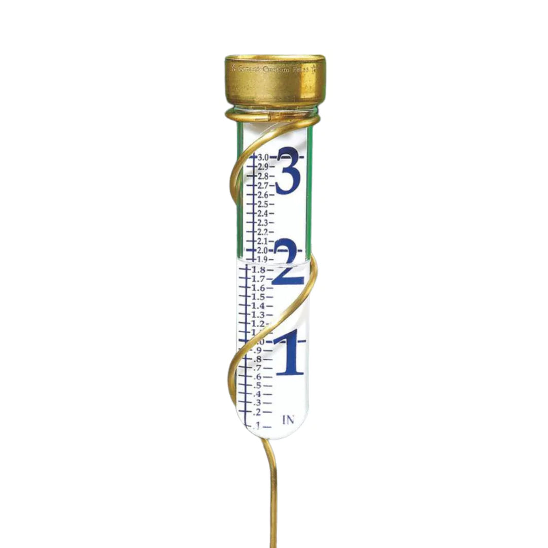 Large view rain gauges