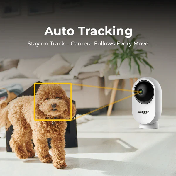 Waggle - Indoor Mini Camera - Weathershack
