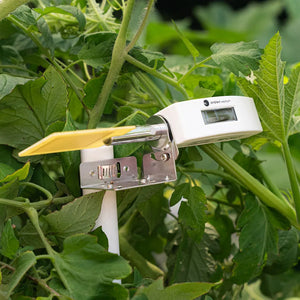 Leaf Wetness Sensor - Ambient Weather Station - Weathershack