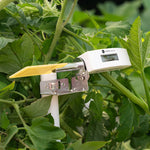 Leaf Wetness Sensor - Ambient Weather Station - Weathershack